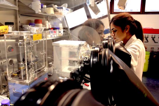 Poonam working with the glove box